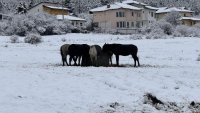 Времето утре: Облачно, с максимални температури до 10° 