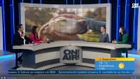 Конкурсите за красота често са обвързани с благотворителна кауза