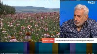 Около 70-80% от българските билки се изнасят, берачите у нас не достигат