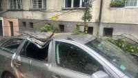 Дърво падна върху две коли в центъра на София