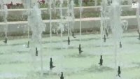Жегите настъпват, как да се предпазим от тях?