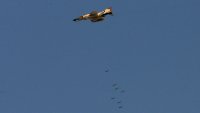 Как Иран адаптира F-4 и F-5 за избягване на съвременната ПВО