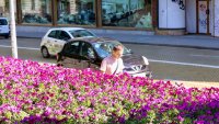 Времето в неделя: Топло и слънчево