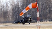 Дронът, принудил НАТО да вдигне изтребител, се оказа... ято птици