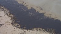 Разлив на дизел в залива Ченгеле скеле край Бургас
