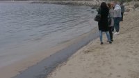 Нефтени петна изплуват на три плажа в Поморие