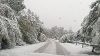 Meteo Balkans предупреждава: Очаква се обилен сняг за Коледа, шофирайте внимателно