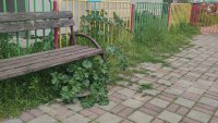 Високи треви, счупени площадки и тригодишен пясък, къде играят децата ни?