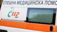 Клон от дърво падна върху служители по чистотата във Варна