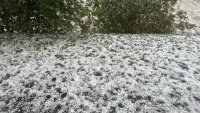 Градушка с размери на лешник падна южно от Стара Загора