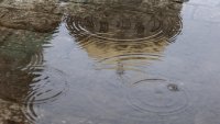 Разкъсана облачност днес, довечера ще започне да вали