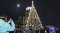 Коледната елха на София грейна с над 20 000 светлини