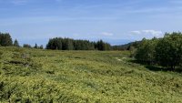 Издирват мъж, изгубил се в планината Люлин