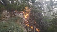 168 пожара са били потушени у нас през последното денонощие