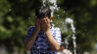 Близо 12 000 смъртни случаи в Германия, свързани с жегите