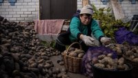 Картофена криза в Русия: Министри ги изключиха от диетата си, за да имало за народа 