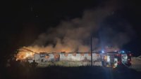 Изгоря кравеферма край Казанлък, загинаха над 15 животни