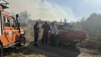 3000 декара горят, храсти и треви изпепелени край Ивайловград (СНИМКИ)