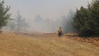 Няма превишаване на нормите за качество на въздуха при пожара в Николово