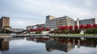 Български стратег спечели глобалното лидерско състезание на Procter & Gamble