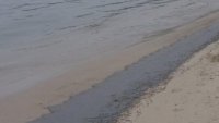 РИОСВ-Бургас: Плажната ивица "Северна Коса" в Поморие е почистена от мазут