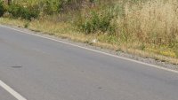 Жена загина при катастрофа край Монтана
