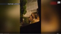 Скинари опитали да нахлуят при еврейски тийнейджъри от Италия в столичен хотел