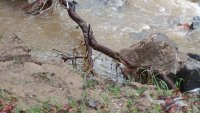Спасиха 17-годишно момче, попаднало във водата в Търново 