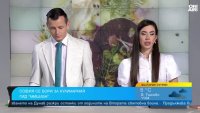  Алибегов убеден: Ще имаме едно, защо не и две заведения със звезда “Мишлен”