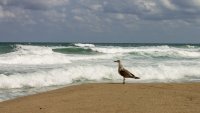 Опасно море, вълни над 2 метра в Бургас