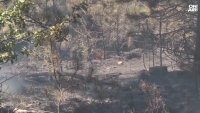 Гасят пожара край Илинденци само от въздух, евакуираха пожарникарите
