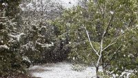 Зимата идва: Възможен е сняг в София и Западна България на 1-2 ноември