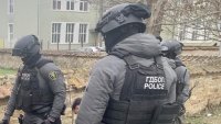Зебра предизвика хаос по пътищата в Тенеси, избяга от собственика си ВИДЕО