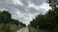 Мъж тича и разхожда кучето си около примамката на черната пантера