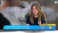 &ldquo;Четири лапи&rdquo; алармира за незаконна продажба на кучета в социалните мрежи
