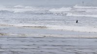 Австриец изчезна в морето край хърватски остров 