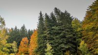 Утре ще е до 21&deg;, но от запад започва да нахлува студен въздух