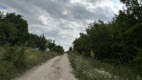 Експерт: Леопардът е бил изпуснат, но собственикът му вече го е прибрал