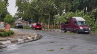 210 сигнала за денонощието заради бурите