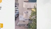 83-годишен мъж стреля с арбалет по млад мъж от тераса в Пловдив 