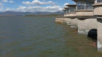 Откриха мъртва риба край язовир "Копринка", проверяват водата