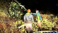 Силни бури нанесоха поражения в Италия
