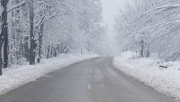 “Петрохан” остава затворен има опасност от падащи дървета