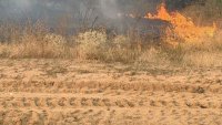34 000 пилета са загинали при пожар до птицеферма край чирпанско село 