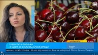 Това лято няма да ядем български череши, кайсии, сливи 