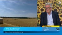 Рекордна реколта от слънчоглед и рапица отчитат производителите