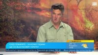 Пожарът в Пирин - най-големият в близката история, върна ни 50 години назад