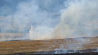 Голям пожар гори край петричките села Кърналово и Михнево