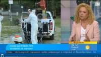 Какво да правим при ухапване от кърлеж?