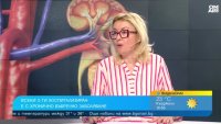 Тревожно: Всеки трети у нас е с бъбречно заболяване, без да знае за него
